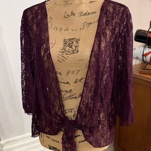 Star Vixen Deep Purple Lace Robe